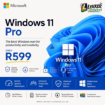 Windows 11 Professional