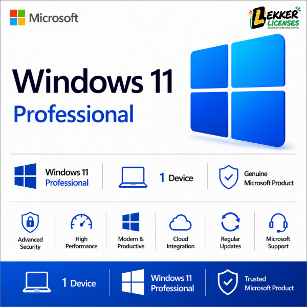 Windows 11 Professional