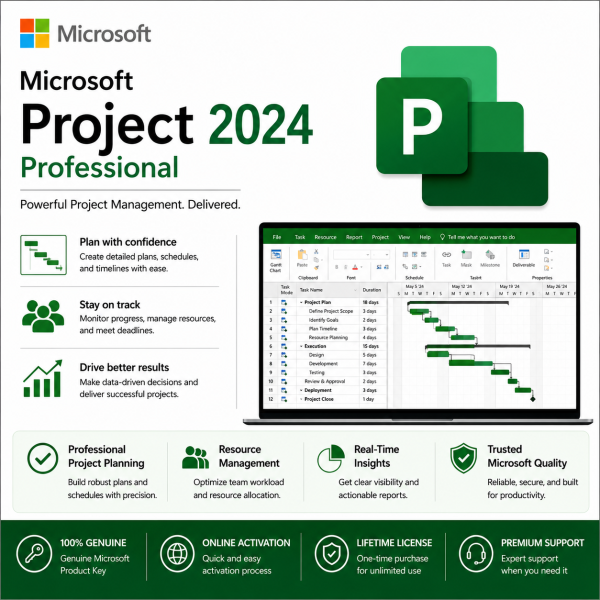 Microsoft Project 2024 Professional