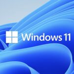 Windows 11 Professional - Image 2